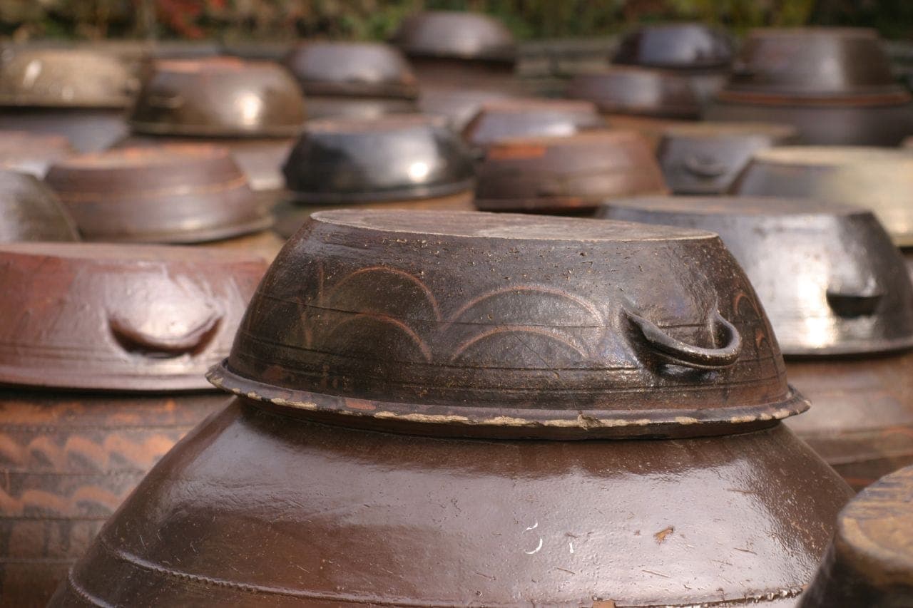 Rows of traditional earthenware onggi pots used for fermenting kimchi outdoors